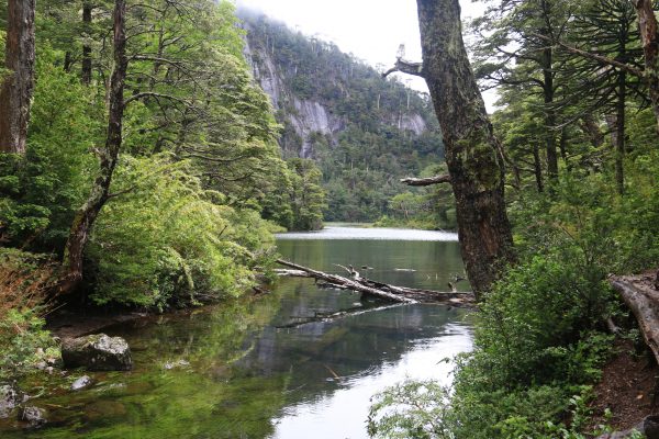 Nationalpark Huerquehue - 3-Lagos (Lago Chico)