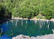 Lago Arcoiris, im Lava-Feld des Llaima