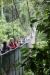 Tirimbina Rainforest Center, am Eingang erstmal über eine Hängebrücke