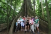 Arenal National Park: Gruppenbild mit Ceiba