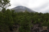 Arenal National Park: Blick zum Vulkan