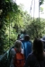 Reserva Monteverde: Wanderung über 8 Brücken