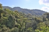 Reserva Monteverde: Wanderung über 8 Brücken, Blick in die Baum-Wipfel