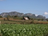 Viñales - Wanderung