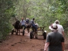 Viñales - Wanderung