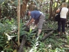 Wanderung Humboldt Nationalpark, Wasserleitung aus Bambus