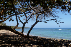 Baracoa, Ausflug ans Meer