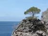 9. Tour (17.4.) Königsetappe: Sa Calobra