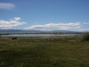 Vogelschutzgebiet direkt bei El Calafate am Lago Argentino