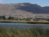 Vogelschutzgebiet direkt bei El Calafate am Lago Argentino