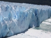 Perito Moreno: der Gletscher kalbt (große Version)