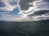 Bootsfahrt über den Lago Argentino, Brazo Norte, zum Upsala Gletscher
