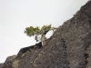 Torres del Paine: nur die Starken überleben