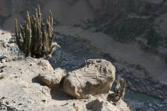 Arequipa - Canyon de Colca