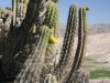 Auf der Fahrt zum Canyon-de-Colca