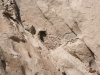 Canyon de Colca, Felsengräber