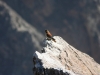 Canyon de Colca