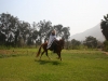 Landgut bei Lima, Besitzer sind Pferdeliebhaber