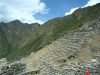 Machu Picchu, auf den Terrassen wurden Nahrungsmittel angebaut