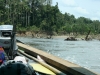 Rio Madre de Dios, naturbelassen, viele Bäume machen die Fahrt interessant