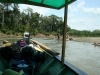 Rio Madre de Dios, naturbelassen, viele Bäume machen die Fahrt interessant