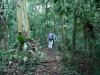 Dschungelwanderung: Die Camp-Sites und Trails sind naturschonend in den dichten Urwald integriert