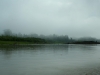 Morgennebel am Rio Madre de Dios, es geht in den Manu