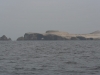 Islas Ballestas, auch Klein-Galapagos genannt