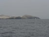 Islas Ballestas, auch Klein-Galapagos genannt