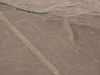 Die Linien von Nazca, Wal