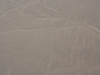 Die Linien von Nazca, Affe