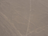 Die Linien von Nazca, Hund/Schakel o.ä.