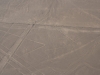 Die Linien von Nazca, Spinne