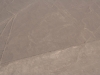 Die Linien von Nazca, Kolibri