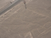 Die Linien von Nazca, Baum?