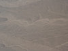 Die Linien von Nazca, versch. Figuren