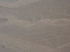 Die Linien von Nazca, versch. Figuren