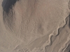 Die Linien von Nazca, Vogel