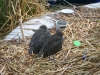 Schwimmende Inseln der Uros Indios