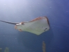2. Tag, Ciudad de las Ciencias: Oceanográfico